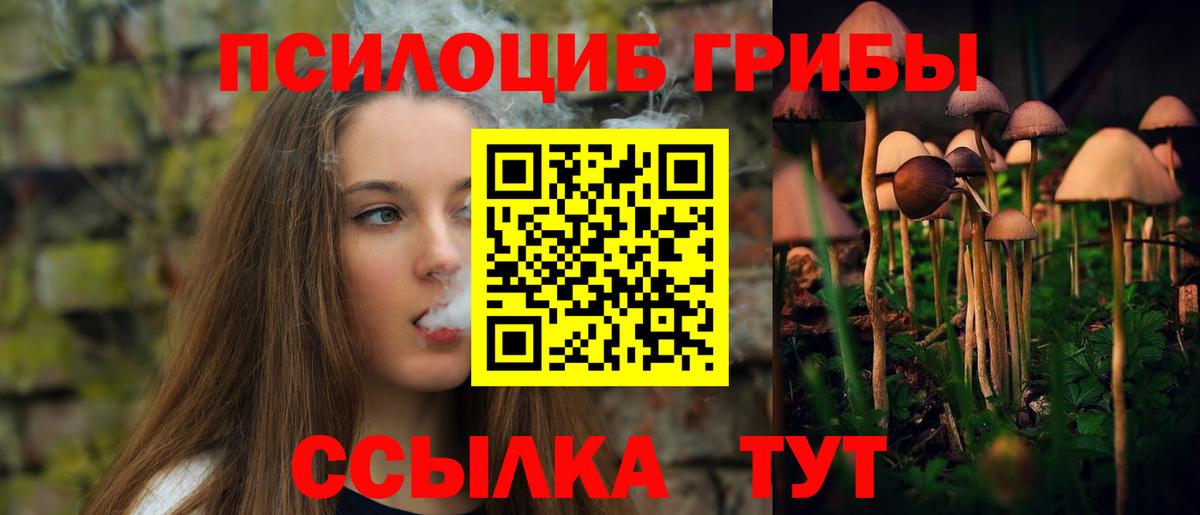 Псилоцибиновые грибы мухоморы Северобайкальск