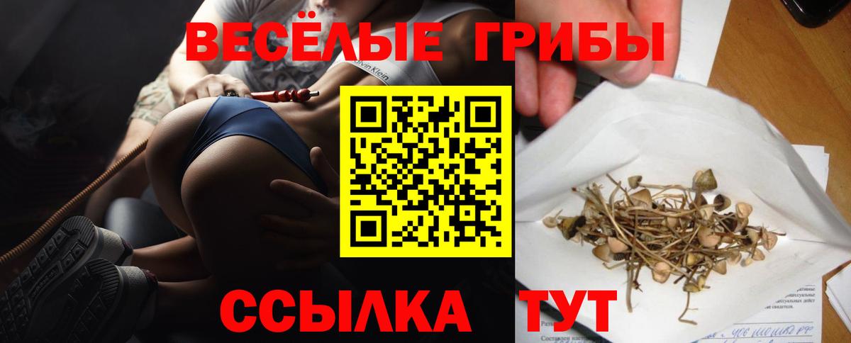 Псилоцибиновые грибы Cubensis  Вход с VPN  Северобайкальск 